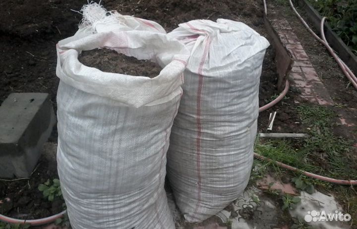 Куриный помет