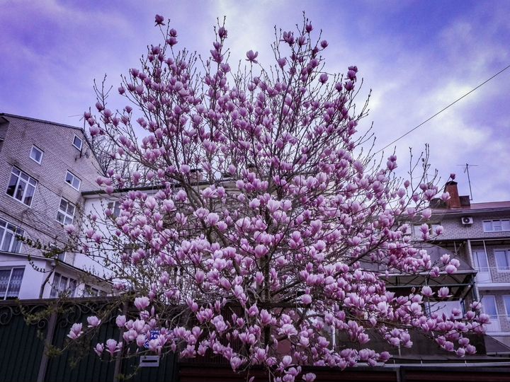 Комната 20 м², 1/4 эт.