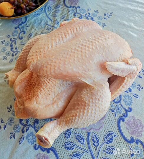 Домашняя курочка