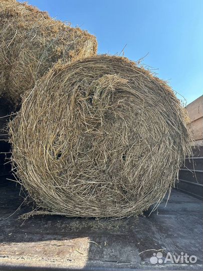 Сено Люцерна