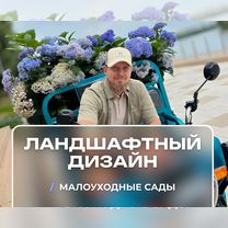 Ландшафтный дизайн участка под ключ — Дизайнер, Котельники