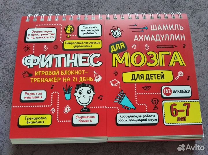 Книга Шамиля Ахмадуллина