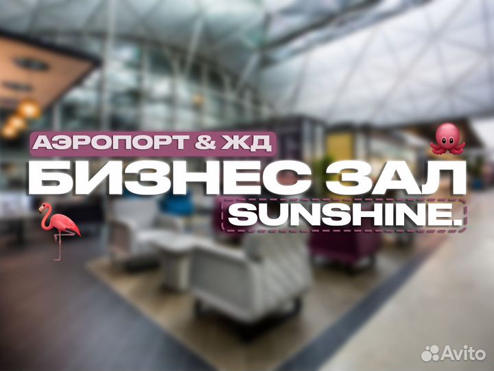 Проход (пропуск) в бизнес зал Kazan