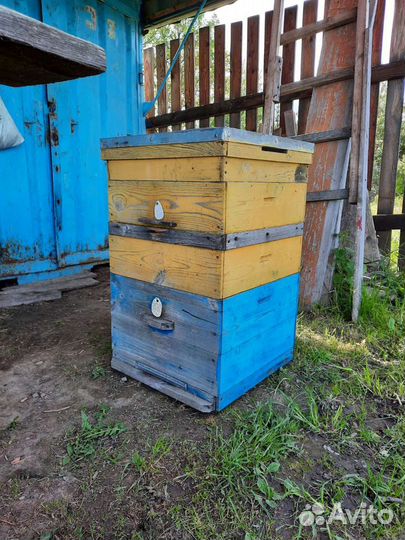 Пчело семья Улья Дадан 12 рамочные б/у в наличии