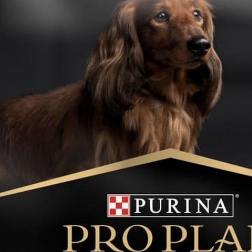 Корм для собак Proplan Grain Free с индейкой