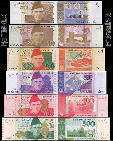 Афганистан Пакистан Индия Непал Бангладеш Мальдивы