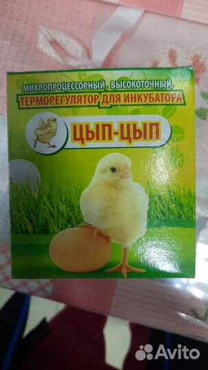 Терморегулятор для инкубатора