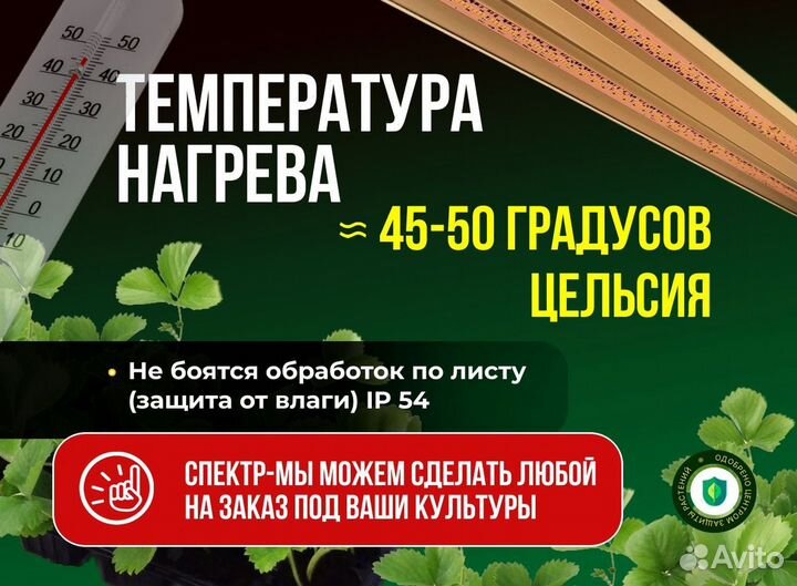 Лампа инженера Колчанова специально для цитрусовых