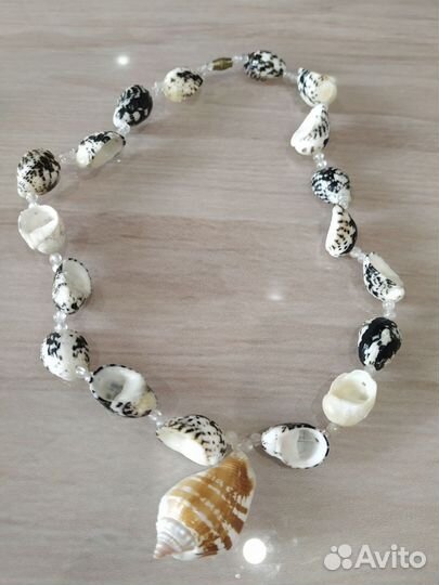 Морские ракушки морская звезда