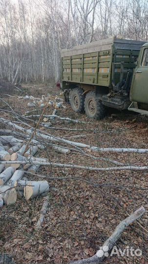 Выпилка деревьев