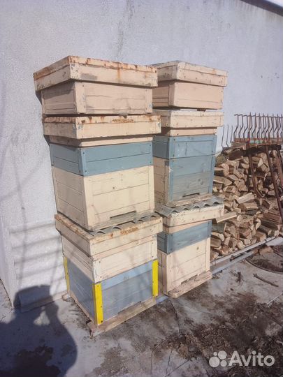 Ульи для пчел