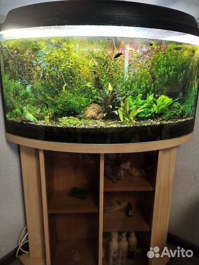 Аквариум