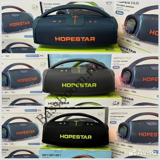 Колонка hopestar A65 300w