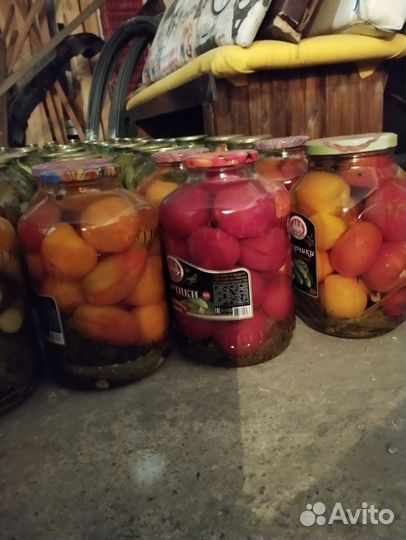 Соленья домашние