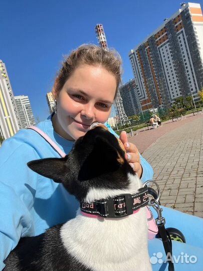 Выгул /Приходящая зооняня для питомцев/ Передержка