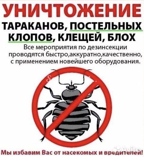 Холодный туман