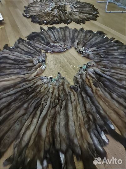 Шкурки выделанные соболь 109 штук