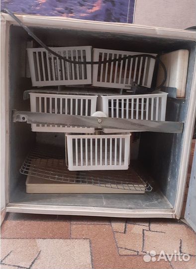 Инкубатор для яиц 