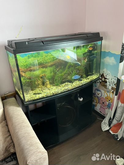 Аквариум