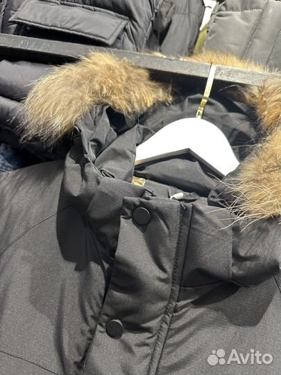 Зимняя парка Lacoste