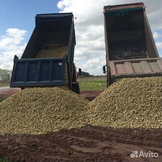 Щепки