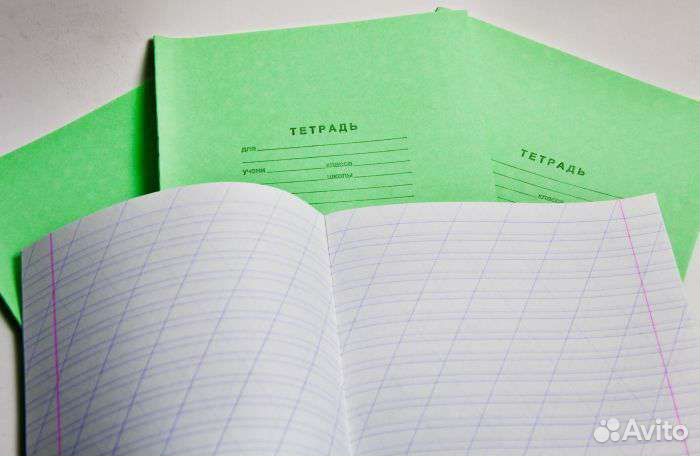 Тетрадь в линейку с косой линией 12 л