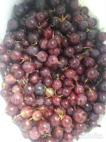 Слива крыжовник (заморозка) тыква