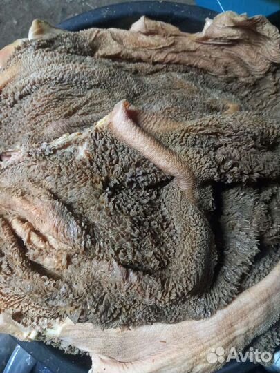 Лакомства. Натуральный корм для собак