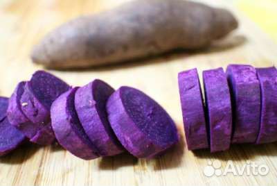 Батат Purple рассада