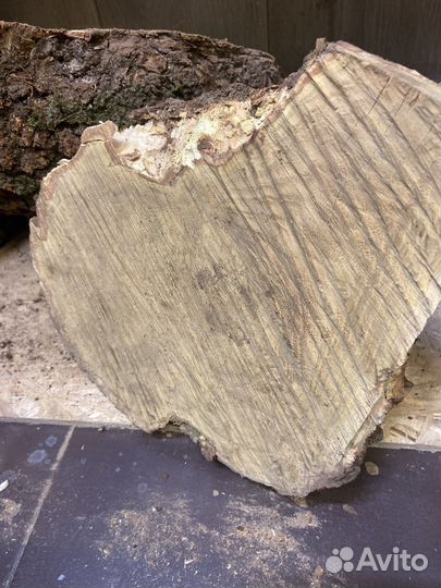 Капы акации