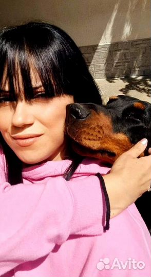 Щенки добермана