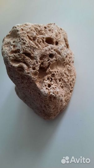 Камень Аммонит