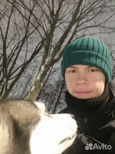 Зооняня, Догситтер крупных собак