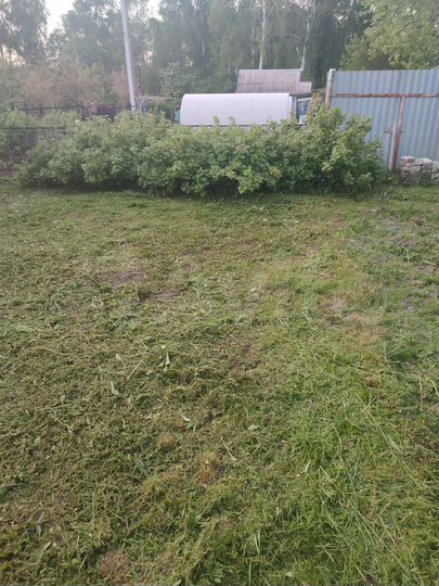 Участок 11 сот. (СНТ, ДНП)