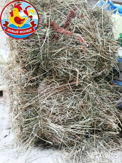 Сено и опилки для животных