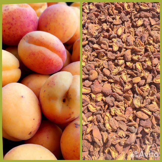 Сушеные яблоки,груши, абрикос