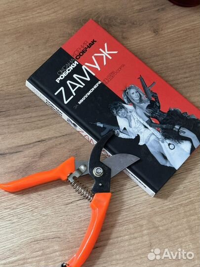 Оксана Робски День счастья-завтра