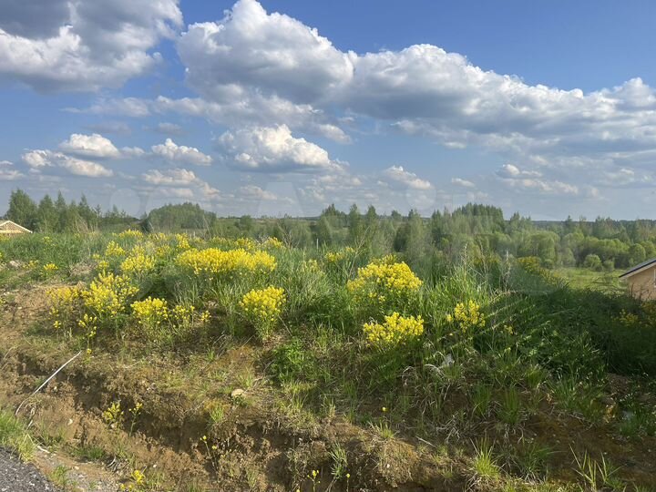 Участок 6 сот. (СНТ, ДНП)