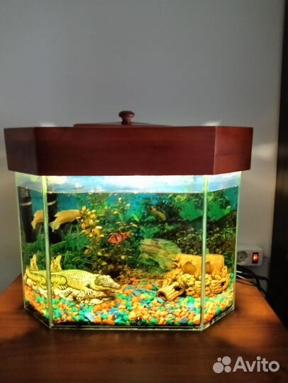 Аквариум