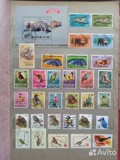 Большой альбом.старин.фауна.флора марки