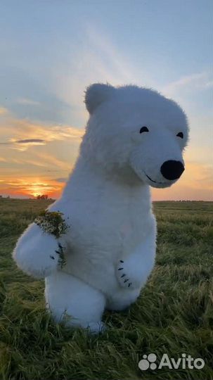 Мишка на поздравления