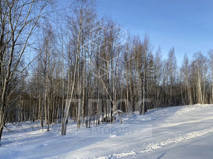 Участок 12,1 сот. (ИЖС)