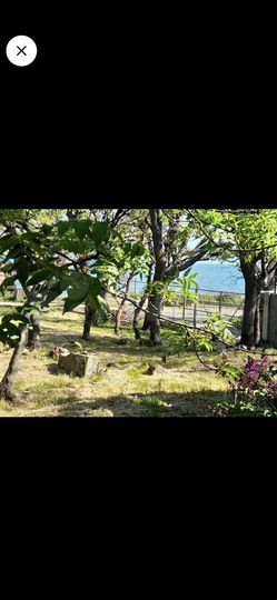 Комната 30 м² в 2-к., 2/2 эт.