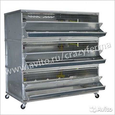 Клетка на 150 перепелов