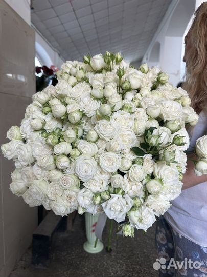 Кустовые розы