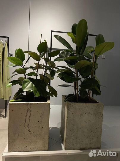 Бетонные кашпо для цветов с гарантией