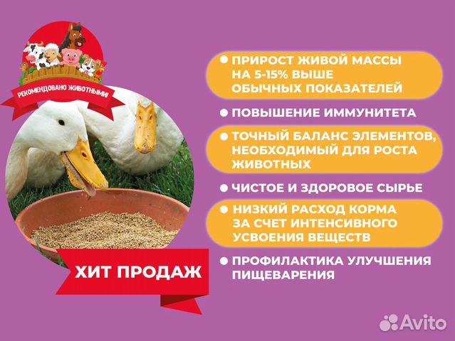 Комбикорм для лошадей гранулированный