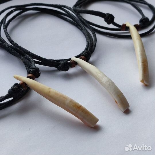 Клык кабана