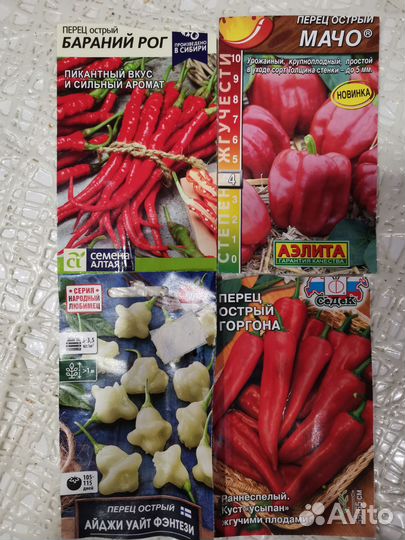 Рассада помидор, баклажан, перца