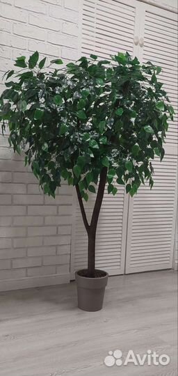 Искусственное дерево фикус